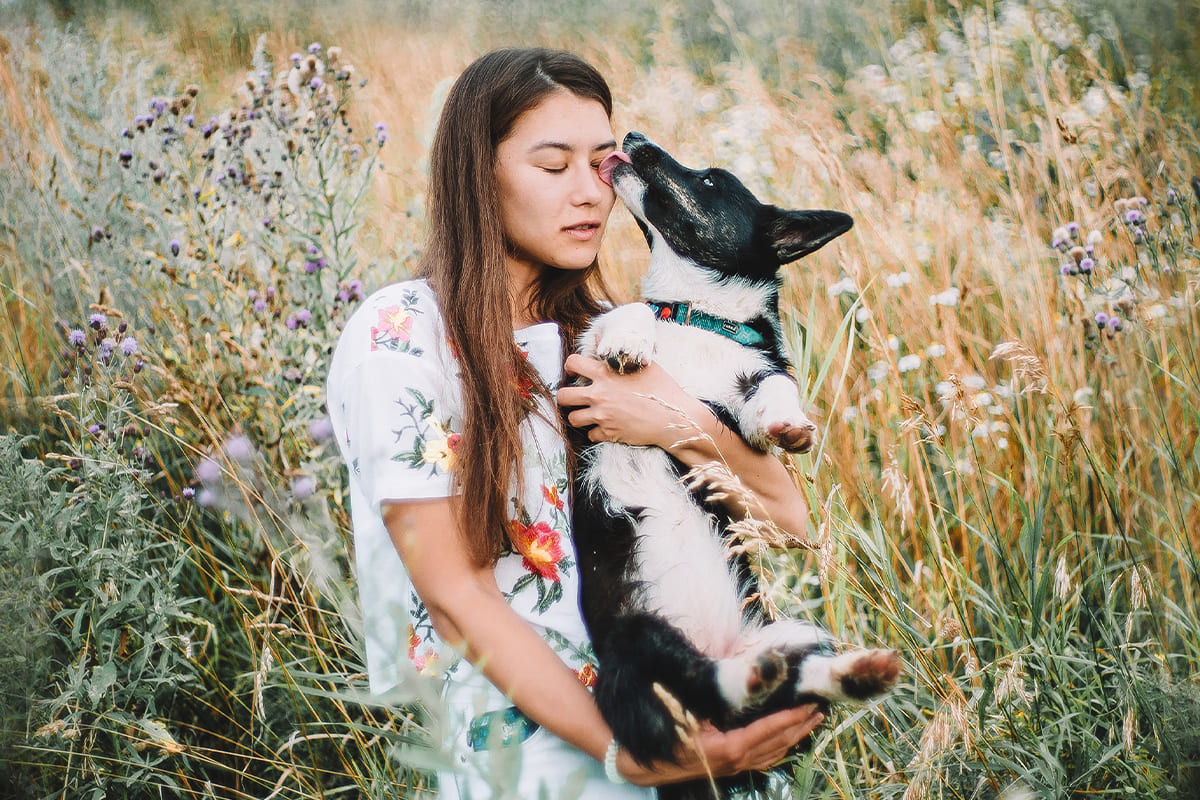 How to Choose the Right Toys for Your Dog?